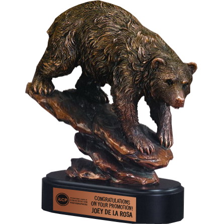 Bronze Brown Bear Award