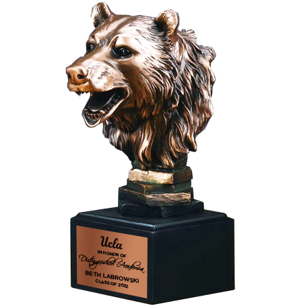 Bronze Bear Head Award