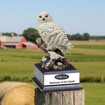 Snow Owl Award