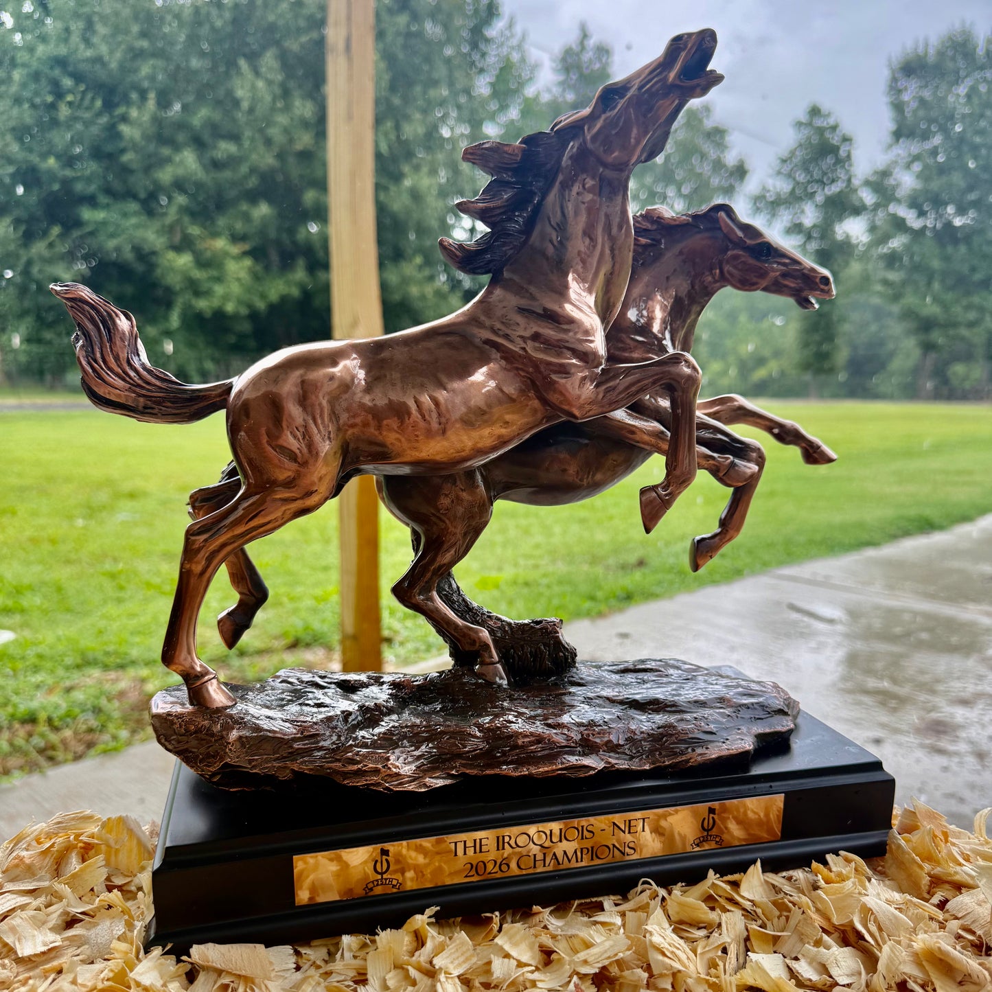 Running Bronco Horses Trophy