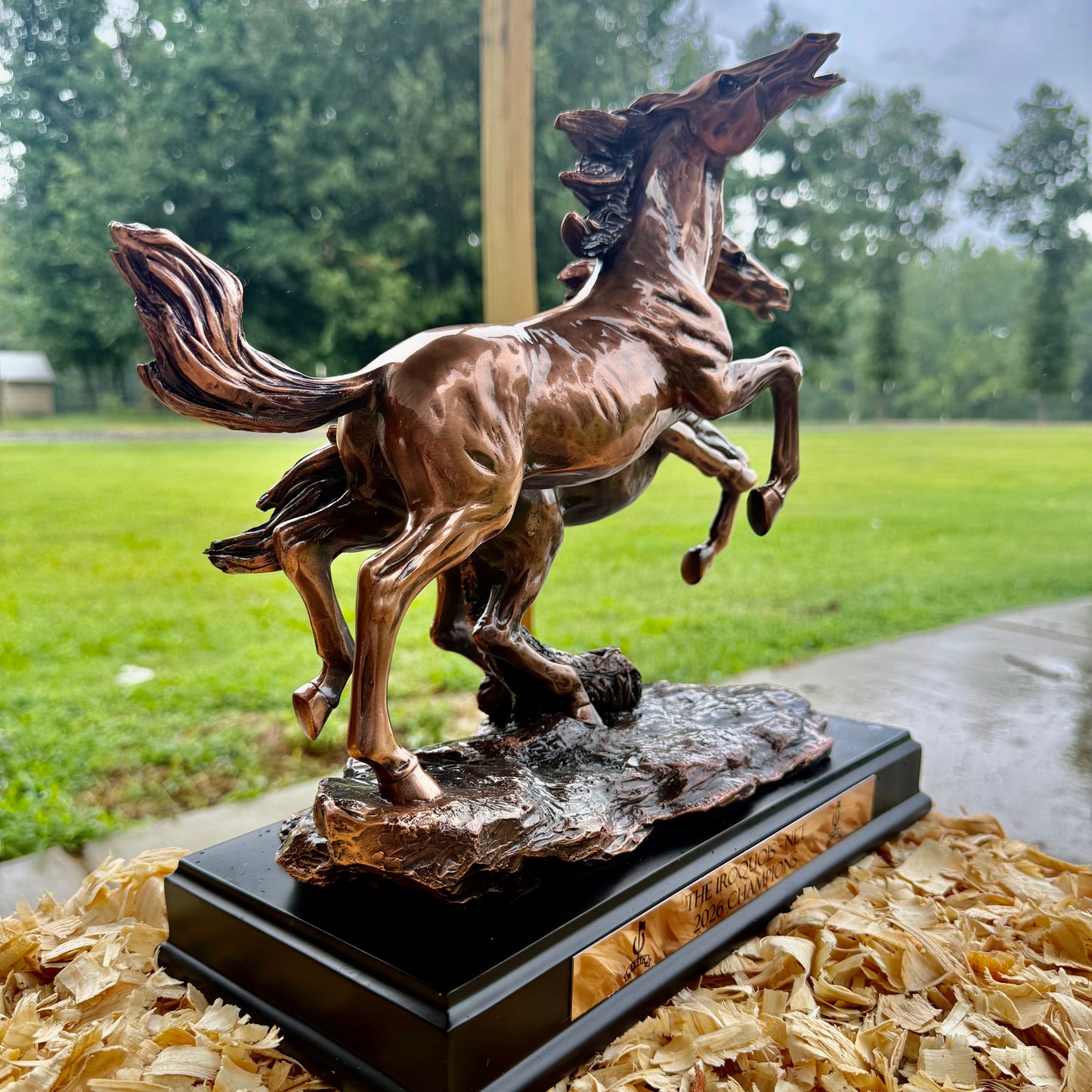 Running Bronco Horses Trophy