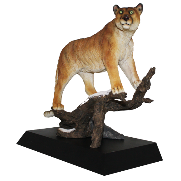 Mountain Lion Cougar Award