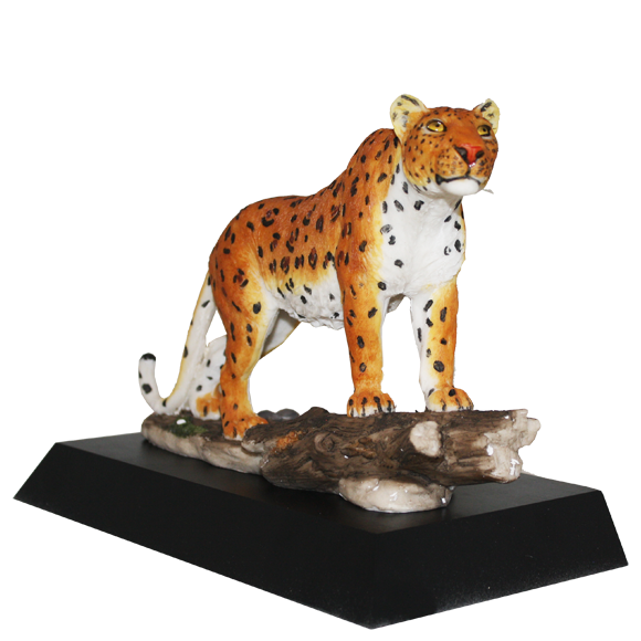 Spotted Leopard Award