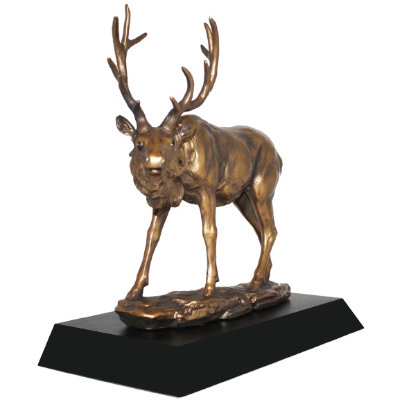 Standing Elk Award