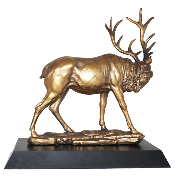 Standing Elk Award