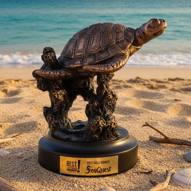 Bronze Mini Turtle Trophy