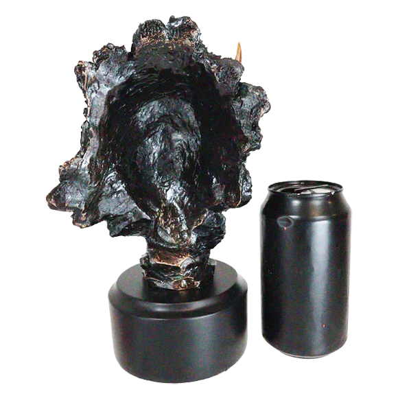 Bronze Buffalo Head Trophy Large
